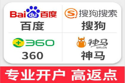 网络推广与竞价策略实战案例